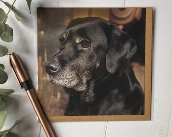 Black Labrador Greeting Card: Old Boy Photo, Labrador Lover
