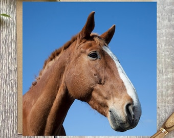 Chestnut Horse Greeting Card: Equestrian Birthday Card  - horse portrait card for any occasion