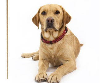Yellow Labrador greeting card - labrador card - Labrador birthday card - labrador card - cute puppy greeting card - labrador