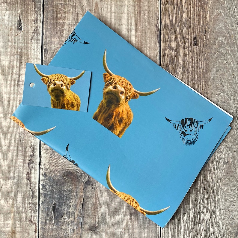 K&ouml;nnte beinhalten: Blaues Geschenkpapier mit einem Hochlandrind-Muster. Das Papier zeigt ein sich wiederholendes Muster eines braunen und wei&szlig;en Hochlandrindes mit langen H&ouml;rnern. Das Papier ist perfekt zum Einpacken von Geschenken f&uuml;r einen besonderen Anlass.