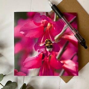 Bee and Flower Photo Greeting Card: Blank Inside