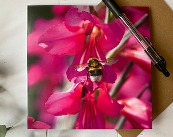 Bee greeting card- greeting card with photo of bee in flowers Bee card - bee card - flower card