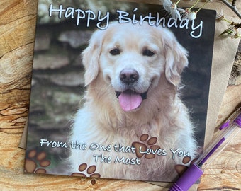 Golden Retriever Birthday Card: From The Dog