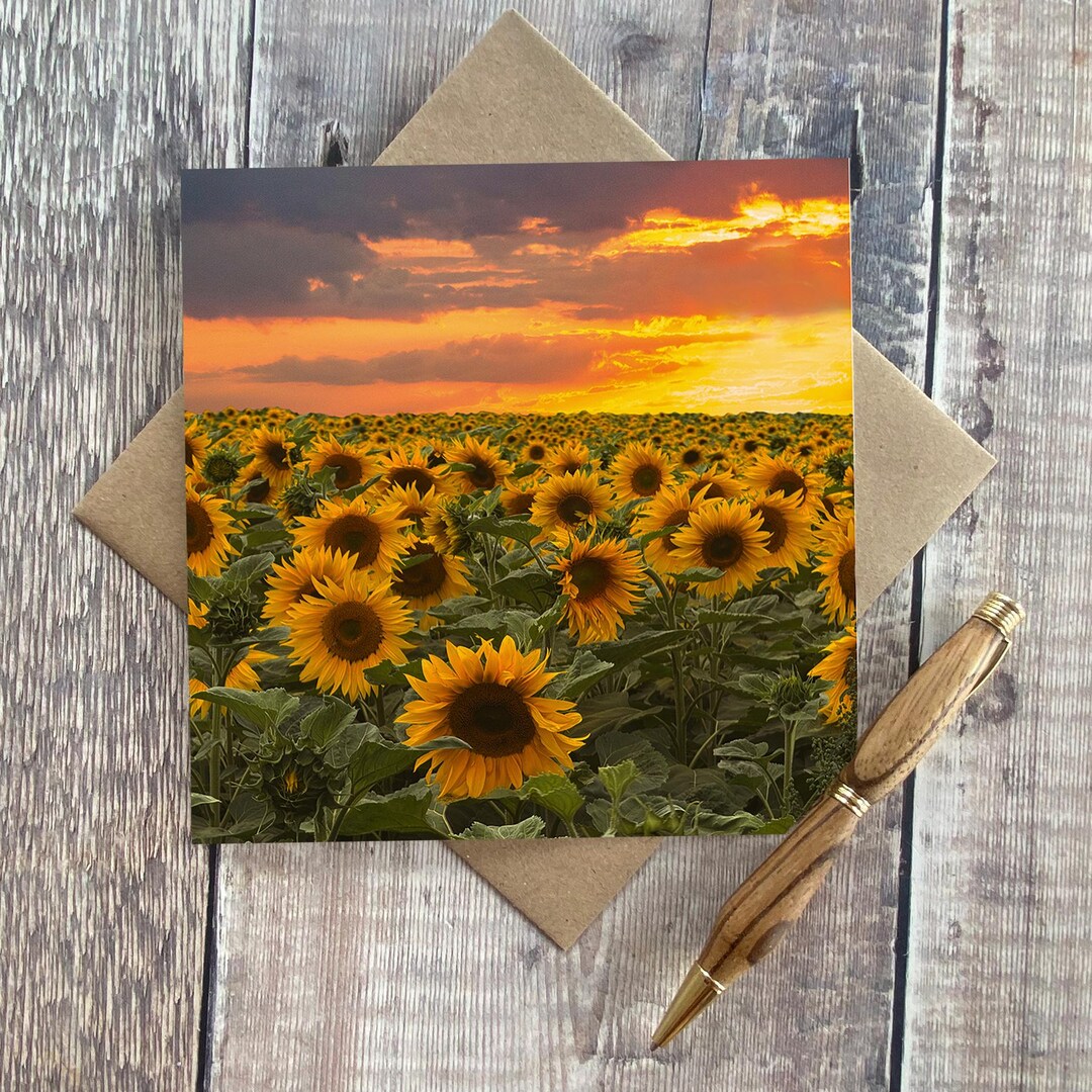 Sunflower Sunset Greeting Card: Blank Inside - Sunflower Greeting Card ...