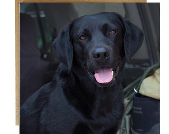 Black Labrador Greeting Card: labrador card - black Labrador birthday card