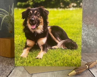 Happy Black and Tan Dog Greeting Card: Any Occasion Blank Card