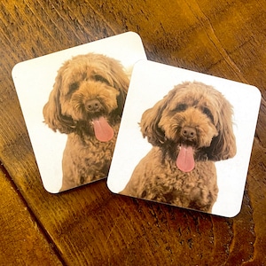 May include: Two white coasters with a brown and white dog on each. The dog has brown fur and a long tongue sticking out. The coasters are square and have rounded corners.
