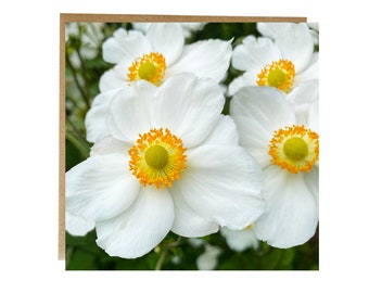 Pretty white flower card - white japanese anemone flower card - white floral greeting card - flower card for friend - female friend card