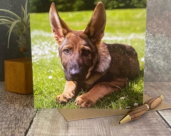 German Shepherd Puppy Greeting Card: Blank Inside, Dog Lover Card