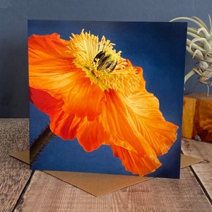 Poppy greeting card - orange poppy birthday card - fine art flower card - floral card - floral birthday card - poppy card