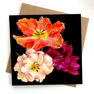 Parrot tulip greeting card - orange parrot tulip card - flower birthday card - female birthday- birthday wishe- just a note - tulip birthday