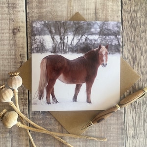 Carte de voeux cheval, beau cheval brun debout dans la neige sur une carte de voeux - HORSE CARD - carte d'anniversaire cheval - carte d'art cheval