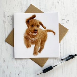Carte de voeux pour chiot cockapoo - carte d'anniversaire de chien - carte de chiot mignon - carte vierge à l'intérieur de n'importe quelle occasion - carte de cockapoo de couleur sable