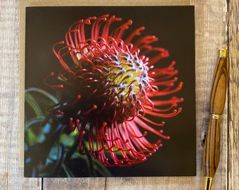 Fine Art Flower Greeting Card: Protea Floral Design