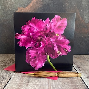 Carte de voeux tulipe rose, carte de voeux florale, cartes de voeux botaniques, carte d'anniversaire florale, cartes de correspondance tulipe, carte de remerciement, tulipe