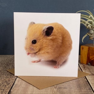 Carte de voeux pour hamster - carte de hamster personnalisée - carte de hamster - carte de rétablissement pour hamster - carte d'amusement hamster