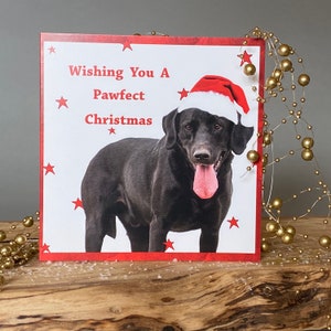 Zwarte lab kerstkaart - heb een pawfect kerst- kerstkaart - hond kerstkaart - Labrador kerstkaart