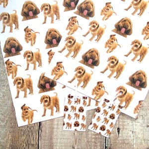 Emballage cadeau cockapoo et ensemble d'étiquettes - joli ensemble de papier cadeau pour chien cockapoo - papier cadeau chien - emballage cadeau chien doodle