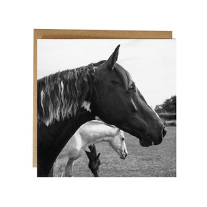 Horse card - horse birthday card - Eating, sleeping, looking - horse greeting card - blank card -equestrian greeting card, horse lover card