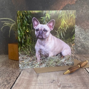 French bull dog greeting card - dog birthday card - dog card - Blank inside any occasion card - Frenchie dog  card