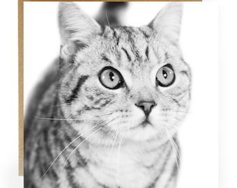 Cat greeting card- greeting card with silver tabby cat on the front - Cat birthday card - cat card - cat gift