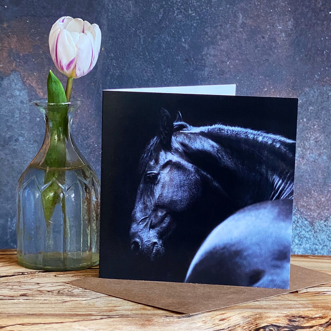 Horse Greeting Cards Pack of 5 Etsy UK