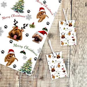 Set di carta da regalo e cartellino natalizio Cockapoo - adorabile set di carta da regalo natalizia a forma di cane cockapoo - carta da regalo natalizia per cani - carta da regalo doodle per cani