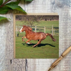 Carte de voeux de cheval, carte de course de cheval brun - carte de voeux équestre - carte de cheval - cadeau de cheval - carte d'amant de cheval
