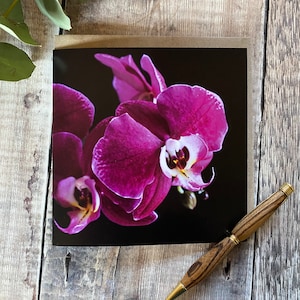 Carte de voeux orchidée - carte de voeux avec orchidées sur le devant - carte d'anniversaire florale orchidée rose - carte orchidée - carte fleur -