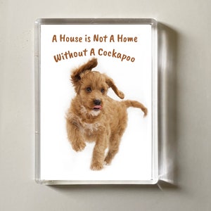 May include: A white background with a brown framed image of a brown and white Cockapoo puppy running with its tongue sticking out. The image has the text "A House is Not A Home Without A Cockapoo" in brown text.