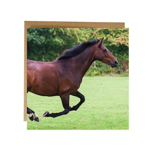 Carte de voeux de cheval, carte de course de cheval brun - carte de voeux équestre - carte de cheval - cadeau de cheval - carte d'amant de cheval