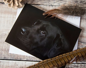Biglietto di auguri con Labrador nero: ritratto artistico del cane