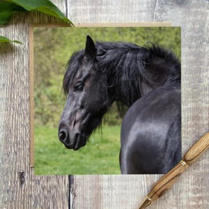 Horse Greeting Card: Equestrian Birthday or Thank You