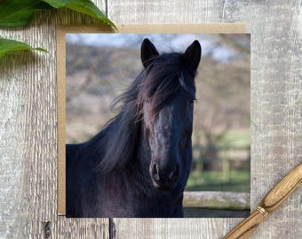 Horse Greeting Card: Equestrian Birthday Card  - horse card for any occasion