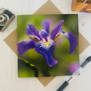 Iriswenskaart - paarse bloemenkaart - bloem verjaardagskaart - muscarikaart- verjaardag- Gardner's card - even een berichtje - bloemen verjaardag