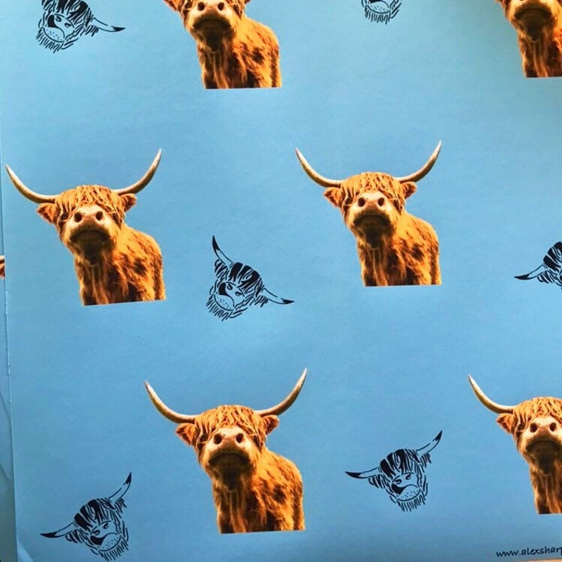 K&ouml;nnte beinhalten: Ein blaues Geschenkpapier mit einem sich wiederholenden Muster aus braunen Highland-K&uuml;hen. Die K&uuml;he blicken nach vorne, ihre K&ouml;pfe sind leicht nach unten geneigt. Der Hintergrund ist einfarbig hellblau.
