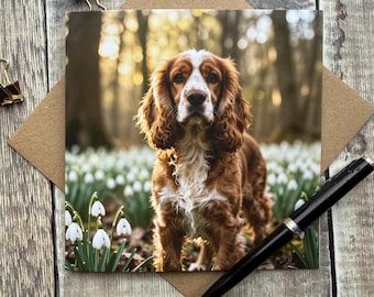 Spaniel in snowdrops in woods Photograph Greeting Card - Dog Lover Gift - lovely spaniel on walk card