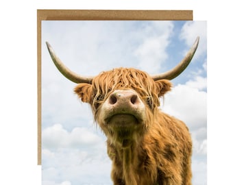 Biglietto di auguri con mucca delle Highlands - divertente biglietto con mucca delle Highlands - biglietto di compleanno con mucca delle Highlands