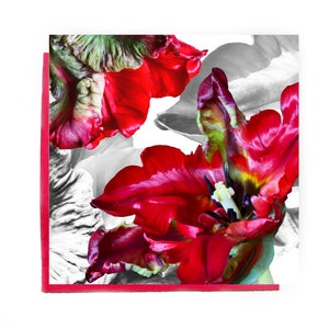 Rode tulp wenskaart - bloemenkaart - tulpenwenskaart - bloemenkaart voor vriend - kaart voor mama - rode bloemenkaart - tulpenkaart