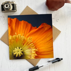 Poppy greeting card - orange poppy birthday card - fine art flower card - floral card - floral birthday card - poppy card
