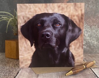 Biglietto d'auguri con ritratto di Labrador nero: foto di una fattoria