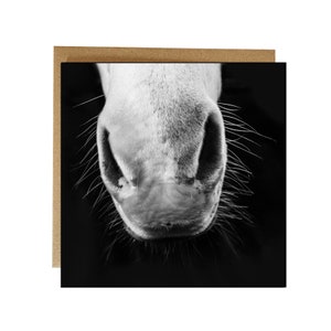 Wenskaart paardenneus blanco van binnen, kaart paardenliefhebber - zwart-witte paardenneus op wenskaart