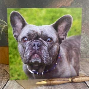 Franse bull dog-wenskaart - verjaardagskaart hond - hondenkaart - blanco binnen elke gelegenheidskaart - kaart Frenchie-hond