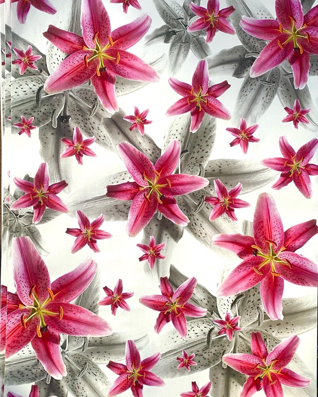 Flower Wrapping Paper Lily Flower Gift Wrapping Floral Gift Etsy UK