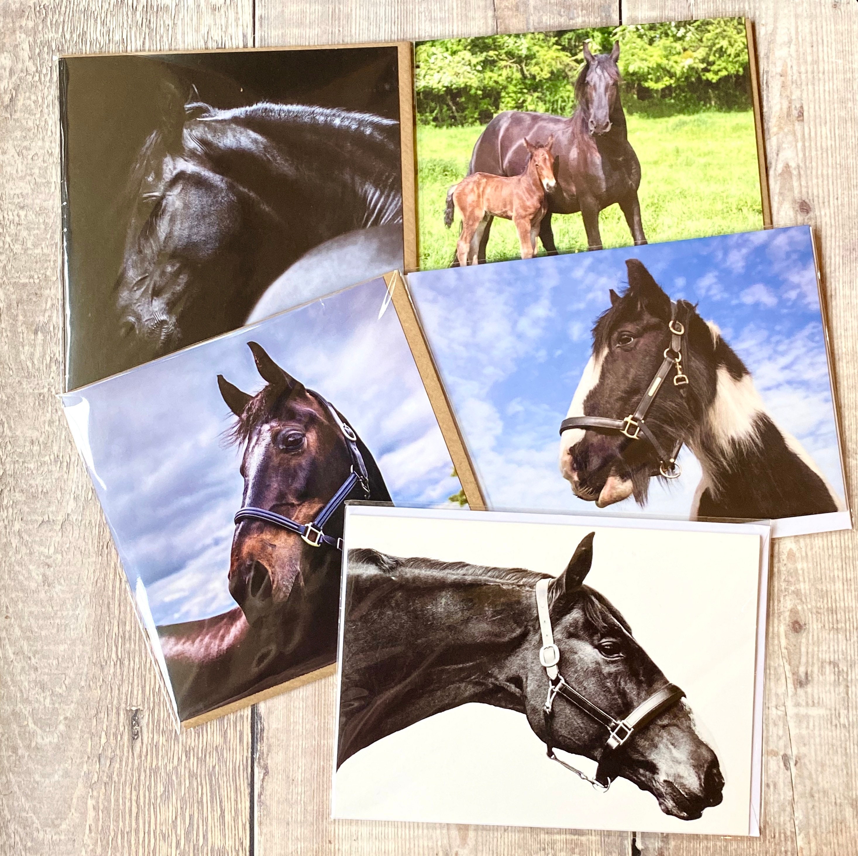 Horse Greeting Cards Pack of 5 Etsy UK