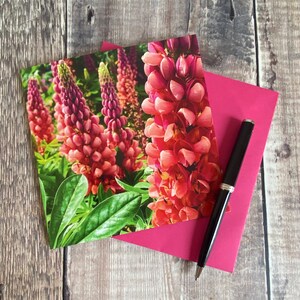 Lupinewenskaart - oranje lupinekaart - bloemverjaardagskaart - lupine - vrouwelijke verjaardag - beterschapswensen - alleen een bericht - lupinekaarten