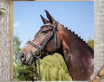 Chestnut Horse Greeting Card: Equestrian Birthday Card  - horse portrait card for any occasion