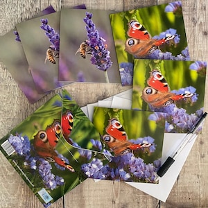 Bee and butterfly notecards in a gift box - Pretty notecards - thank you cards british nature cardsNotecards - box of 6 notecards