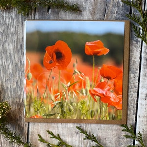 Carte de voeux de pavot - carte de champ de pavot - coquelicots rouges lumineux sur la carte de voeux - carte d'anniversaire de pavot - carte de voeux de champ de pavot - carte heureuse