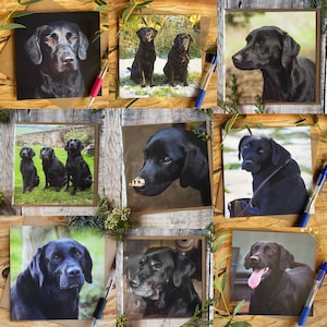 Black Labrador greeting cards - dog cards - Labrador cards - any occasion dog greeting cards - Labrador gift - 9 Labrador greeting cards